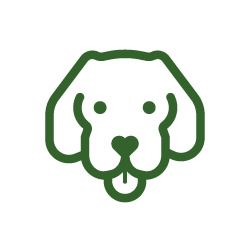 1-ALIM-SUMSUM --10220