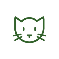 2-GATOS RASCADORES --24110